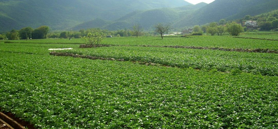 Obavijest o uvjetima i rokovima za podnošenje zahtjeva za podršku po modelu ruralnog razvoja u 2026. godini